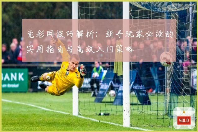 竞彩网技巧解析：新手玩家必读的实用指南与高效入门策略